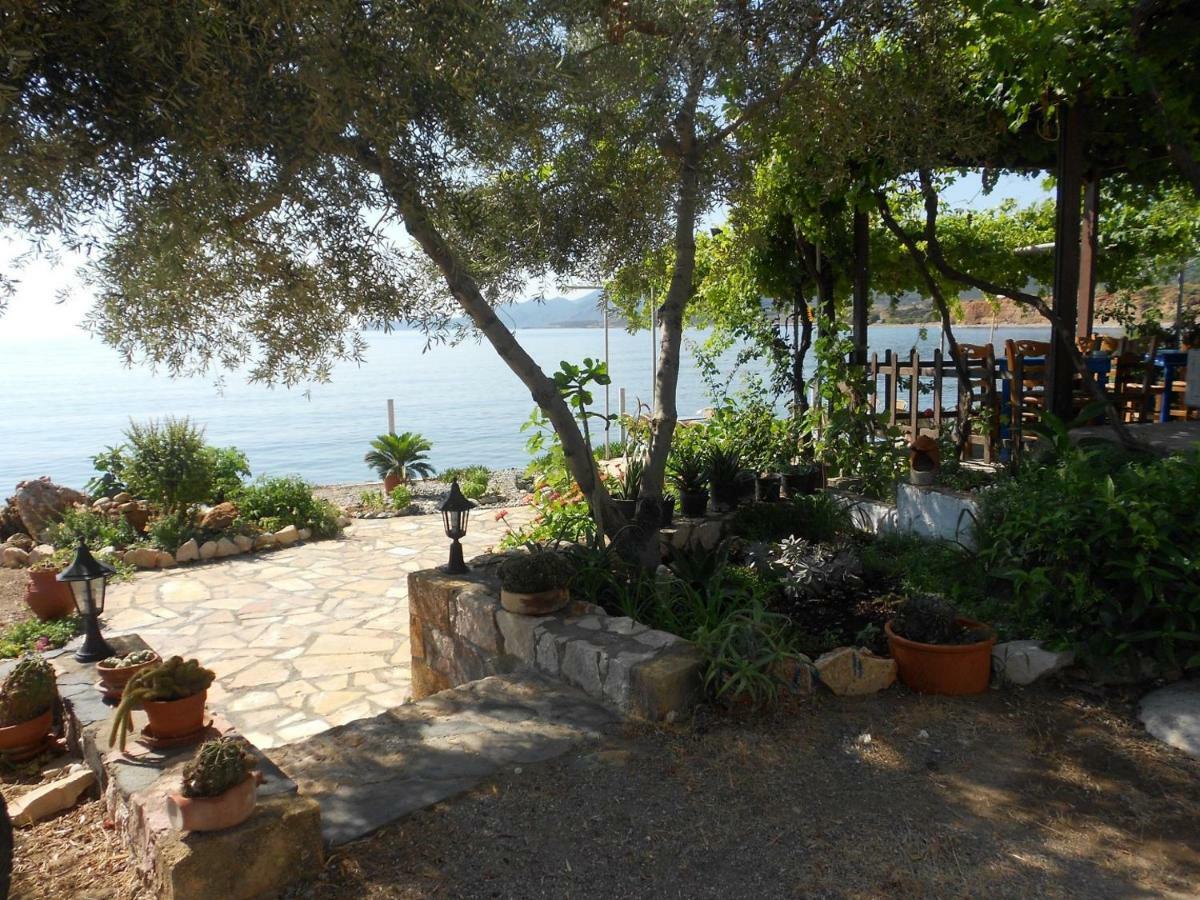 Gaia Case de vacanță